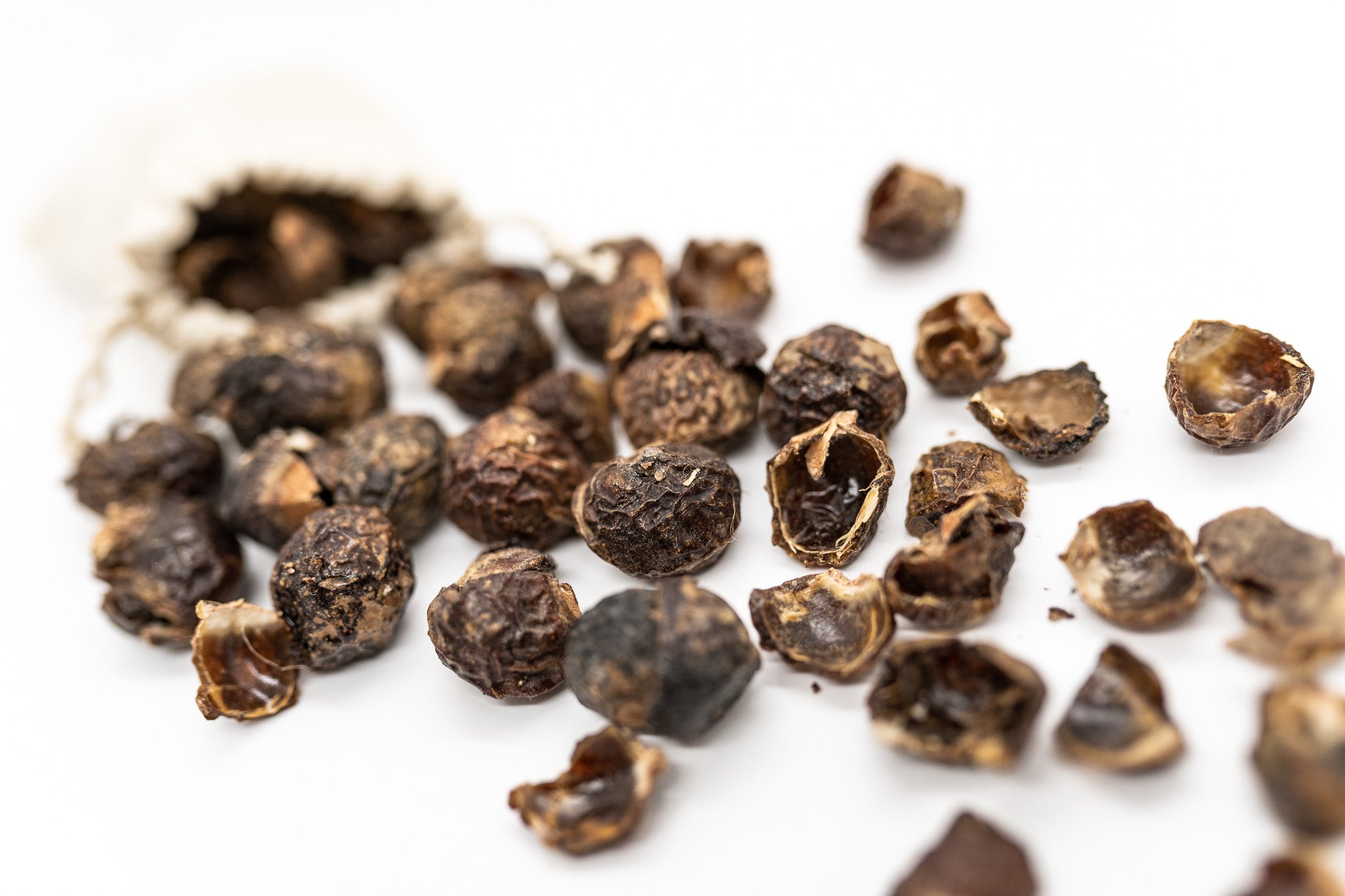 Soapnuts - What are they and how do we use them?