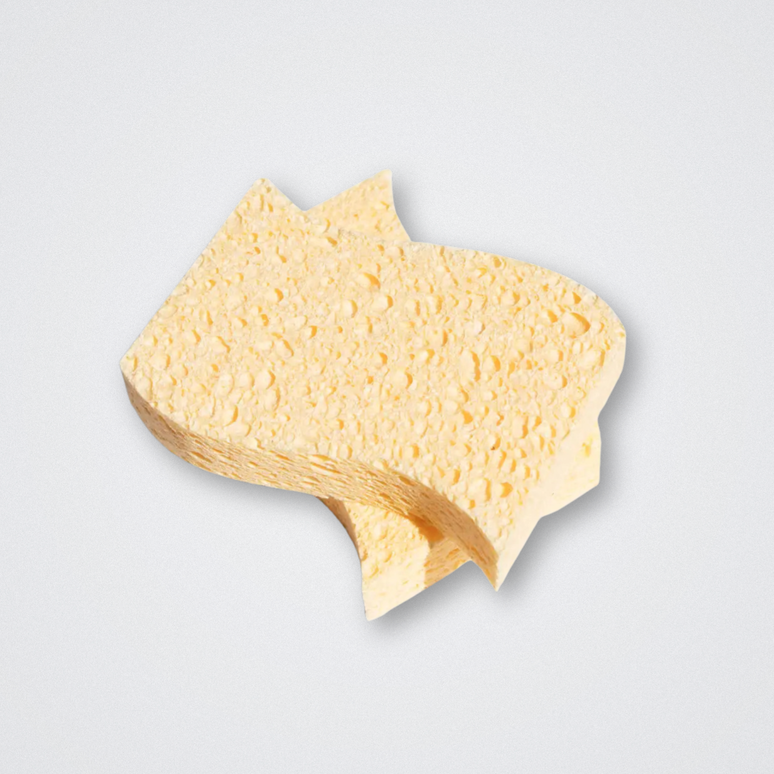 Biodegradable kitchen sponge regn plastic free