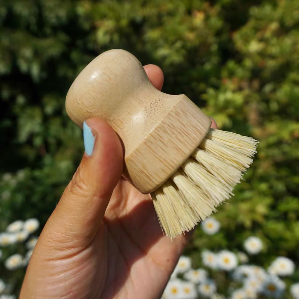 Wooden Pot Brush Plastic Free Bamboo Coir Kitchen Washing up Eco friendly