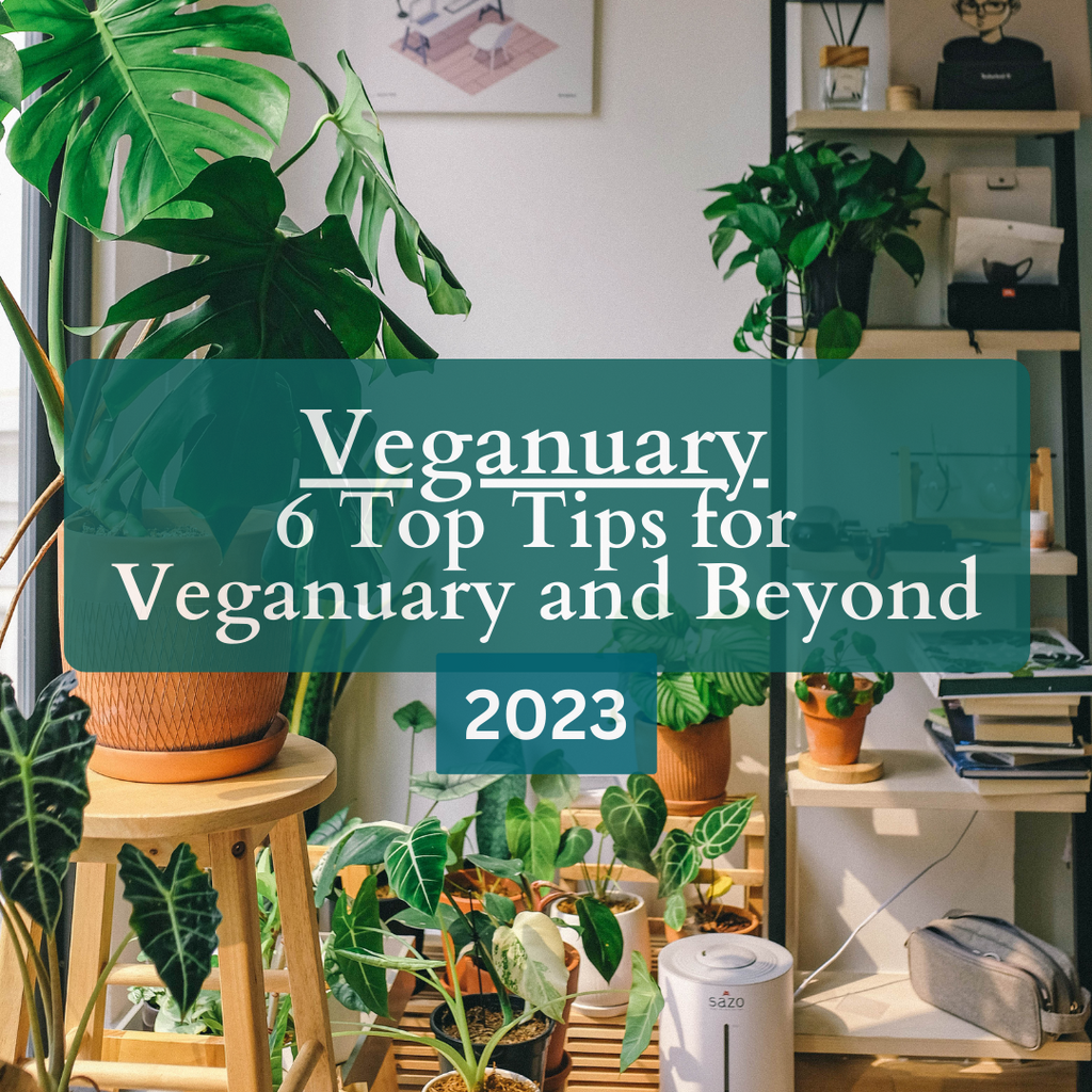 Veganuary - 6 Top Tips for Veganuary and Beyond