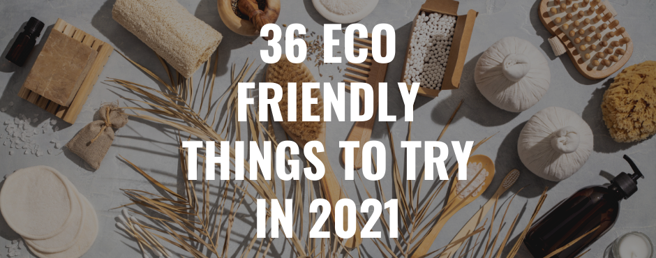 36 Eco Friendly Things to Try in 2021