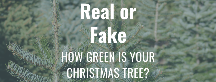 Real OR Fake? How Green is your Christmas Tree?