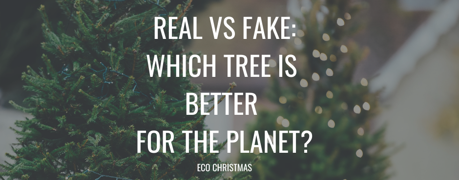 Real VS Fake - Which tree is better for the planet?!