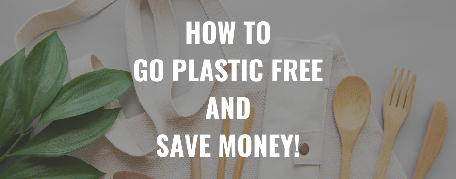 How To Go Plastic Free AND Save Money!