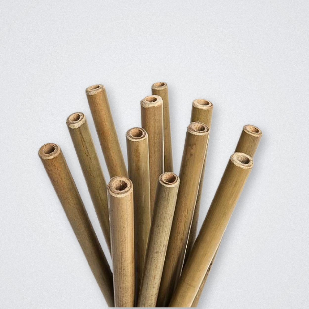 Bamboo Reusable Straw Plastic Free Natural Biodegradable