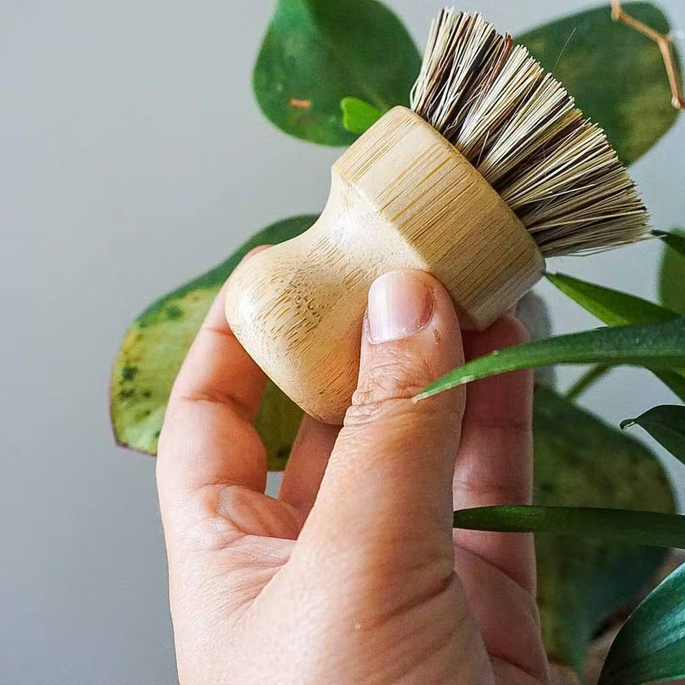 Kitchen Pot Brush Natural Bamboo Eco friendly biodegradable Sisal Brush stiff and medium