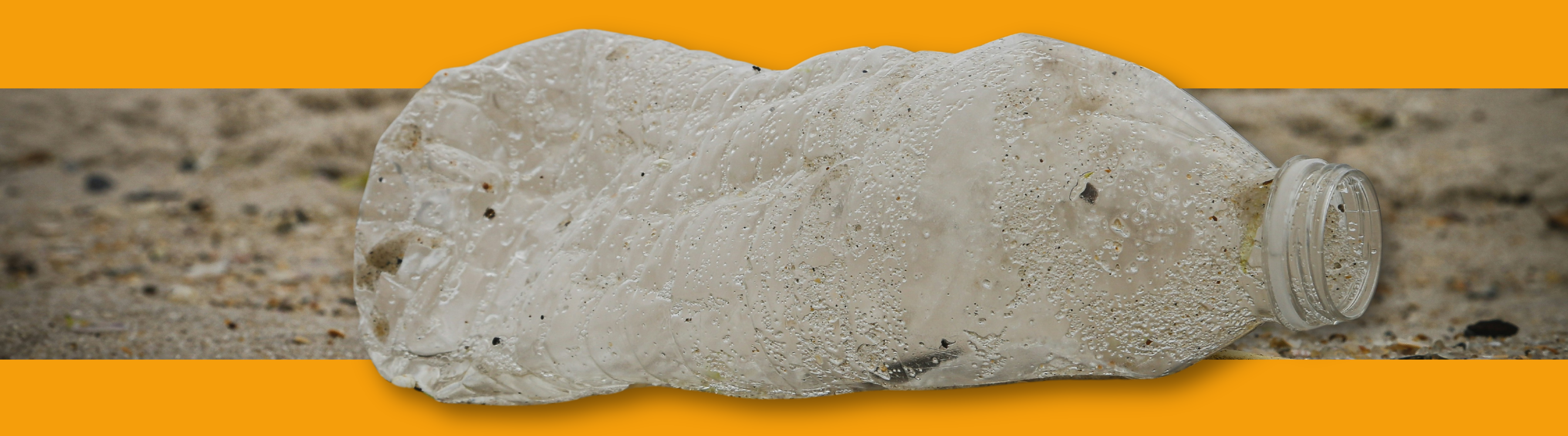 Eco-friendly essentials banner