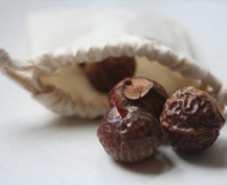 Trial Pack of Soapnut Laundry Detergent-1