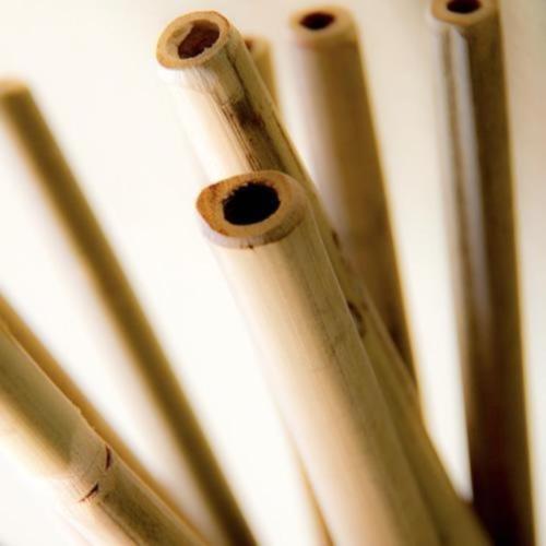 Bamboo Reusable Straw Plastic Free Natural Biodegradable