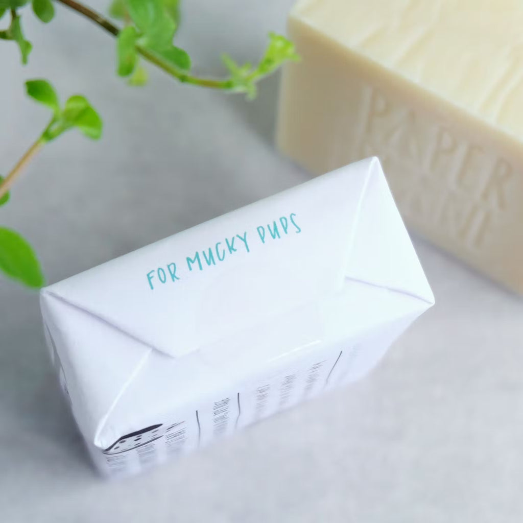 Paper Plane Dog Shampoo Gift Coconut Neem Oils Natural
