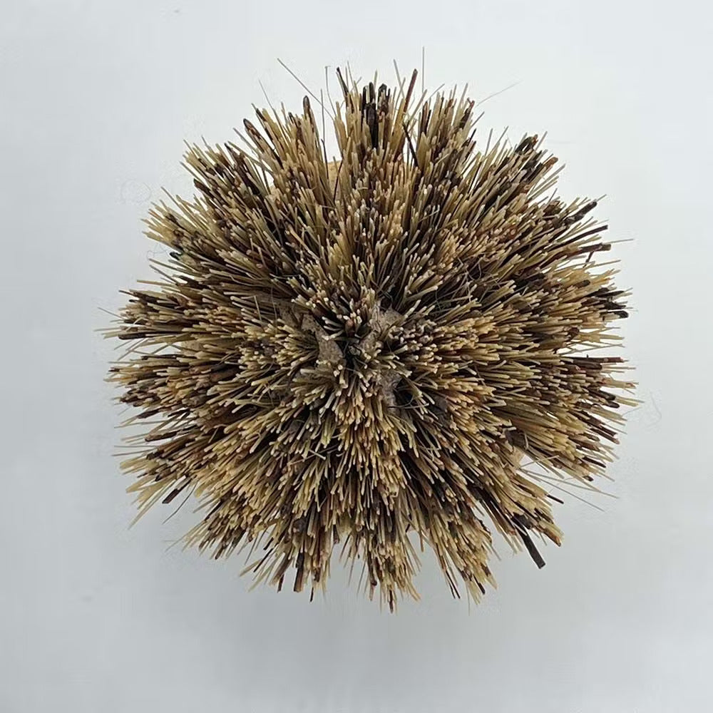 Wooden Pot Brush Cleaning Kitchen Washing up Plastic Free and All natural Bamboo