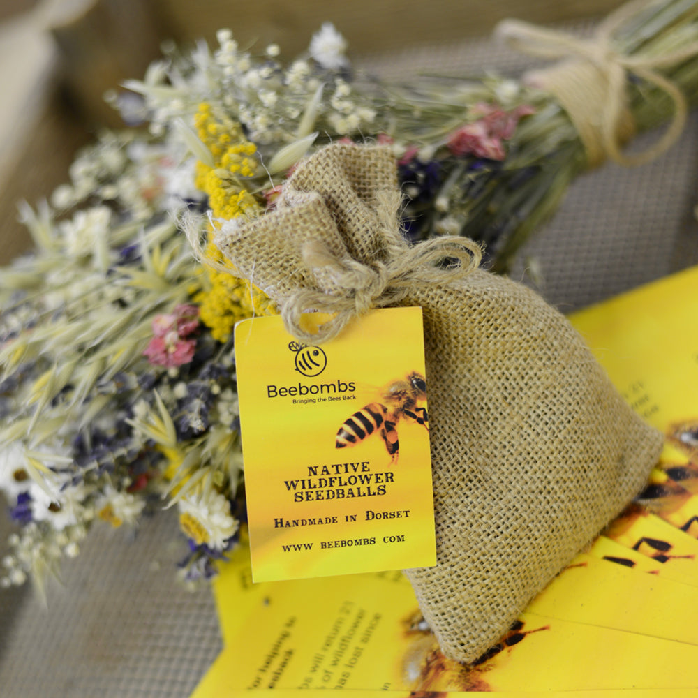 Wildflower Seed Balls BeeBombs Dorset UK 